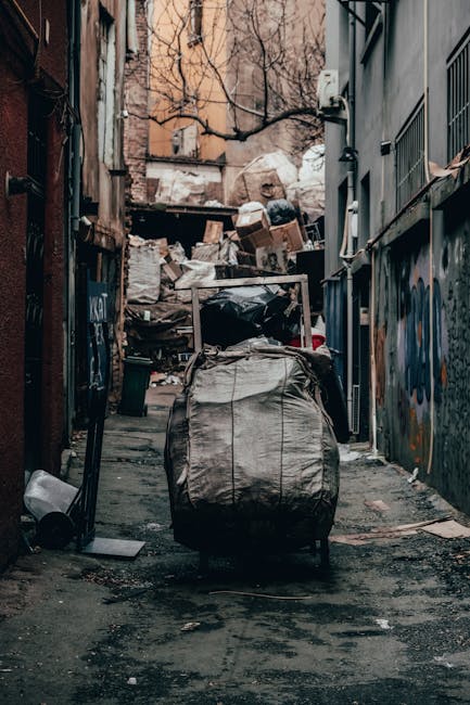 A narrow urban alleyway filled with an accumulation of waste, mainly discarded cardboard boxes, plastic bags, and miscellaneous debris stacked against the back wall. In the foreground, a large, grey, weathered industrial waste bag or sack, placed on a dark, damp pavement surface showing signs of dirt and scattered rubbish. On the left side, a small black trash bin lies empty on the ground, while a partially crushed metallic object, possibly a discarded piece of equipment, leans against the wall. The alley is flanked by tall brick and concrete buildings with graffiti and peeling paint visible on the right wall, alongside barred windows and utility boxes indicating an inner-city environment. Bare tree branches extend overhead into a clear sky, suggesting the season is late autumn or winter. The scene appears to be in the process of private waste collection or rubbish clearance, typical of a service carried out by waste disposal firms like Waste Disposal Islington, supporting alternative and independent waste handling solutions beyond standard municipal collection.